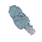 Pressed Glitters
